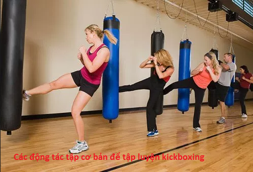 Các động tác tập cơ bản để tập luyện kickboxing